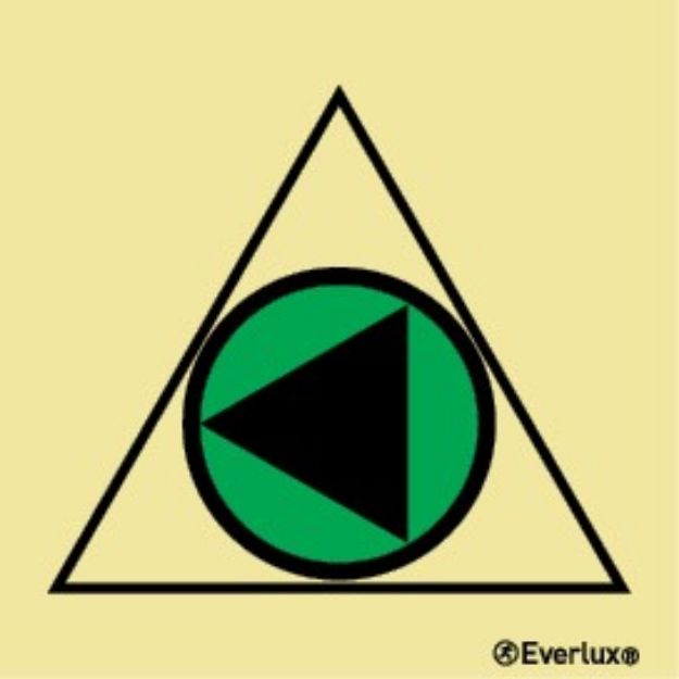 Remote control for bilge pump(s) 